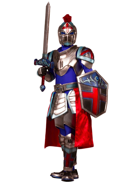 ナイツ戦闘態